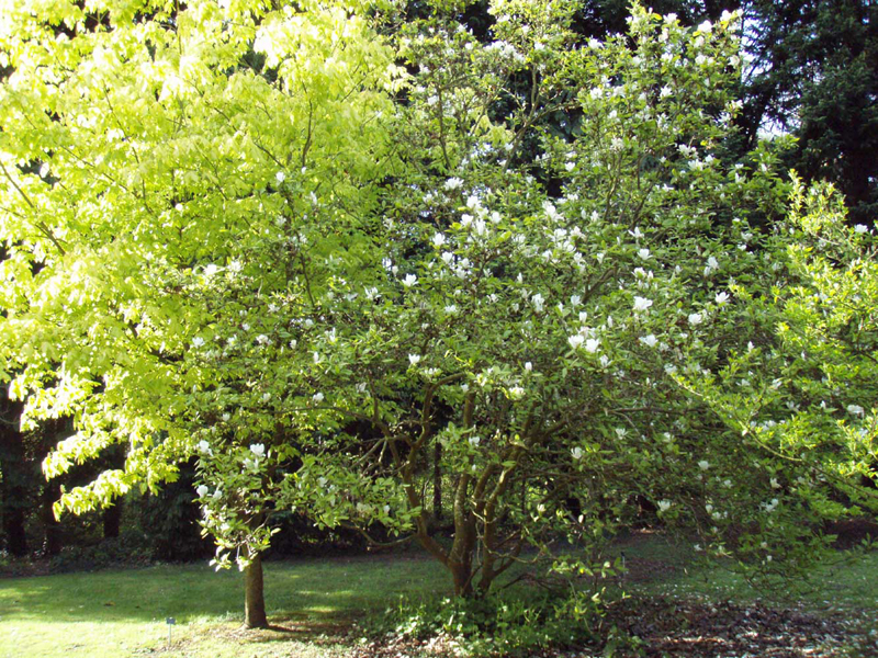 /gallery/spring/11-gun 044.jpg